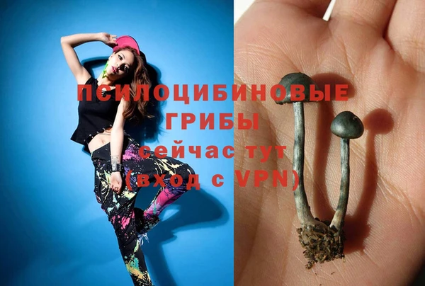 гашиш Козельск