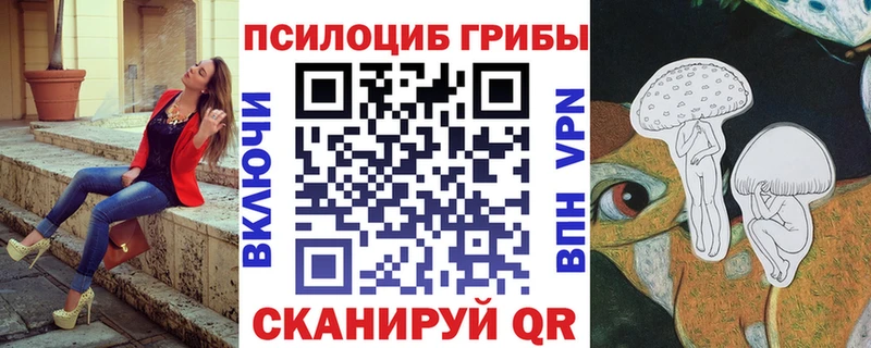Псилоцибиновые грибы ЛСД  Купить закладки  Почеп 