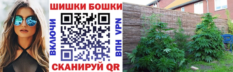 Бошки Шишки семена  Купить где  Почеп 